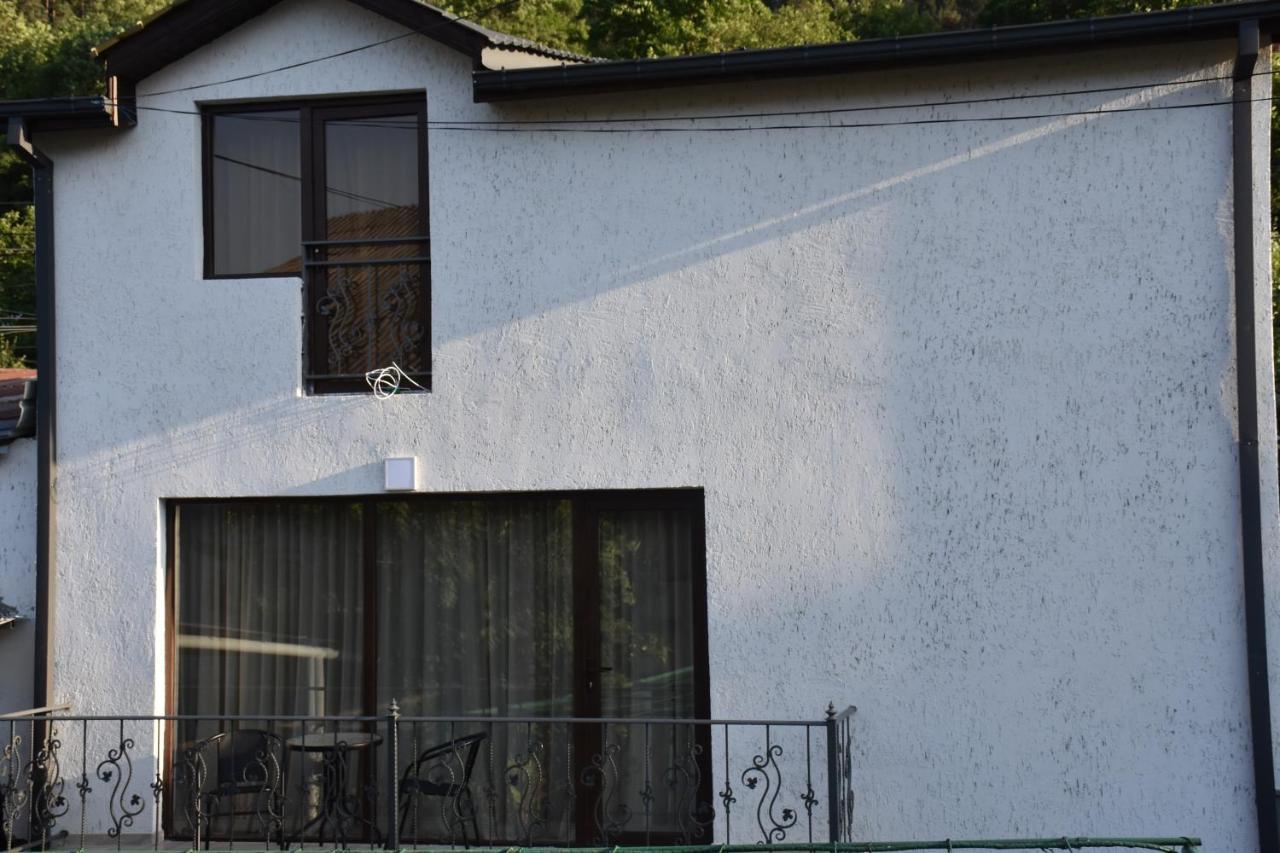 Villa Eleana Borjomi Esterno foto
